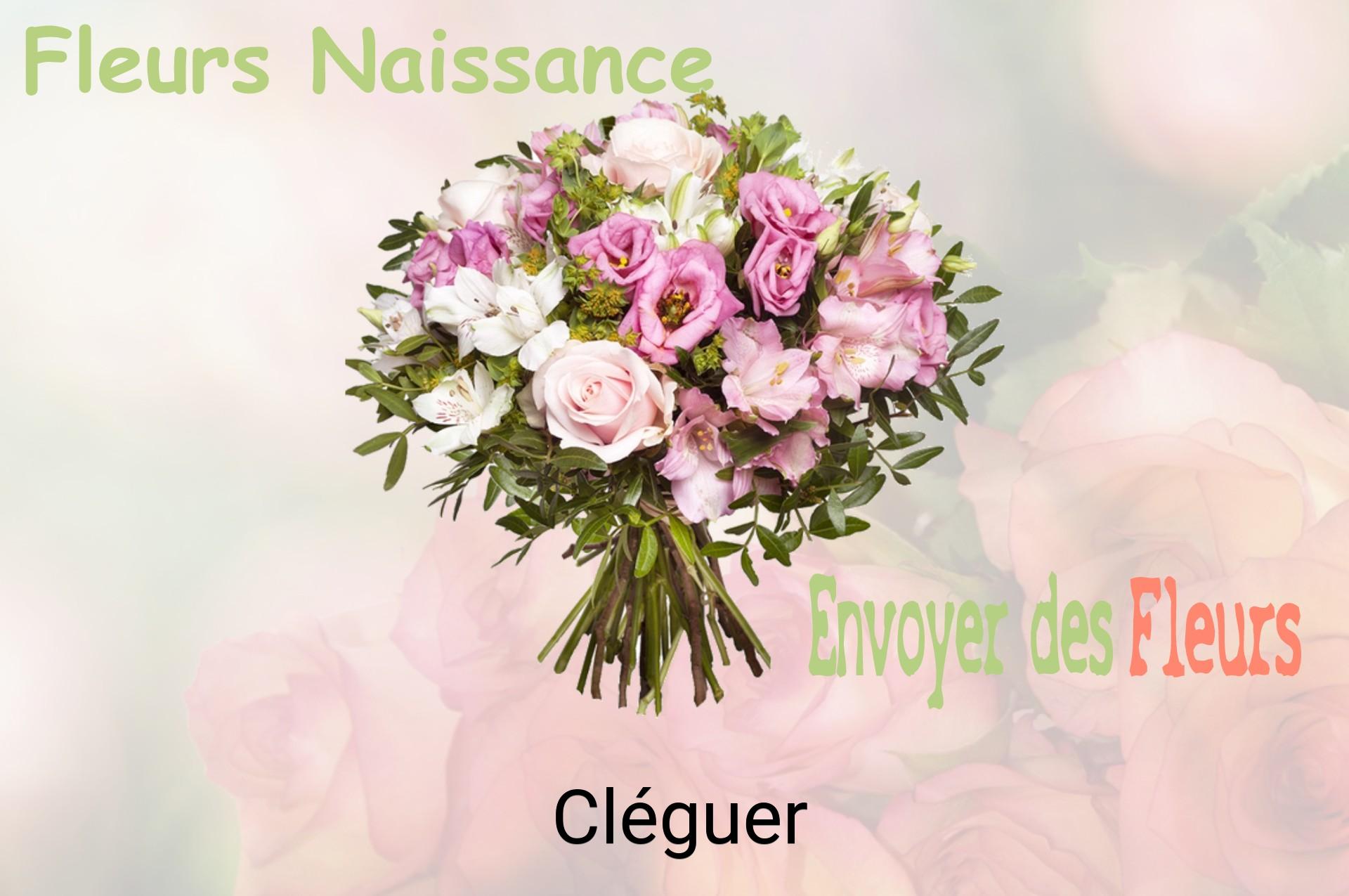 Bouquet de fleurs de naissance livré à Cléguer